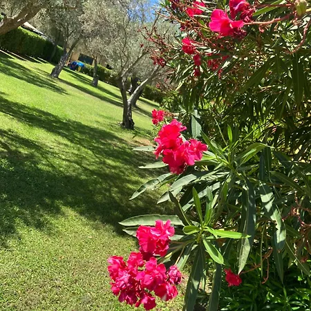 Vakantiehuis Anno Zero Sweet House San Sostene Marina