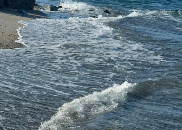 Anno Zero Sweet House